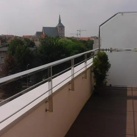 Wysmienity Miodowy *