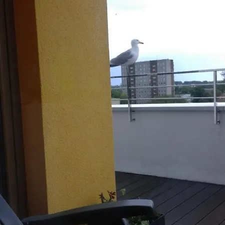 Wysmienity Miodowy Kołobrzeg